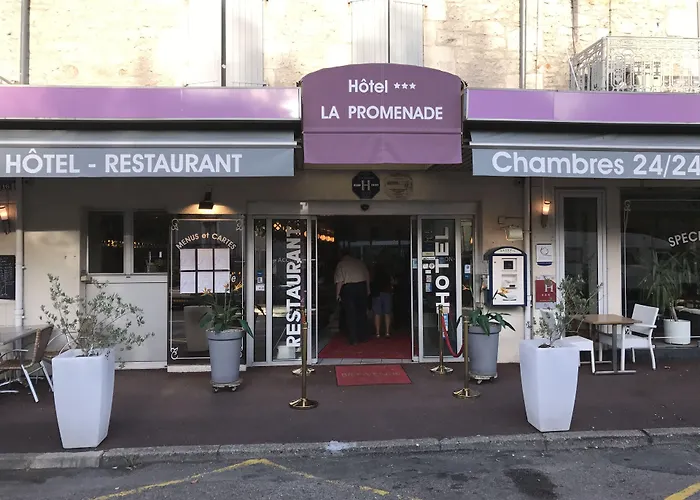 Le Patio De La Dordogne מלון 3*