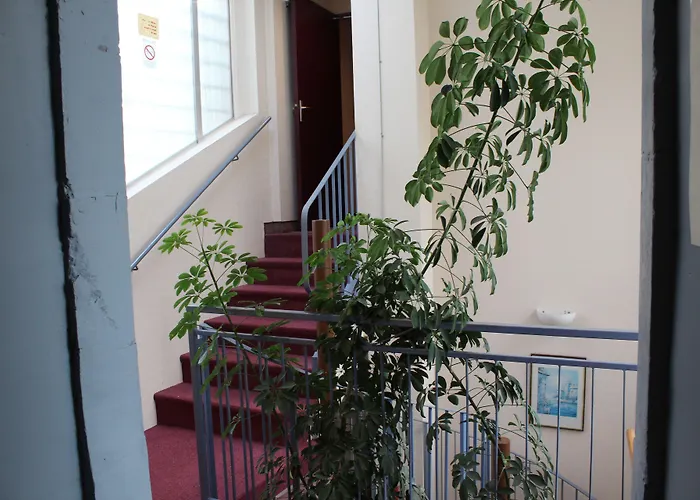 ホテル Le Patio De La Dordogne スイヤック